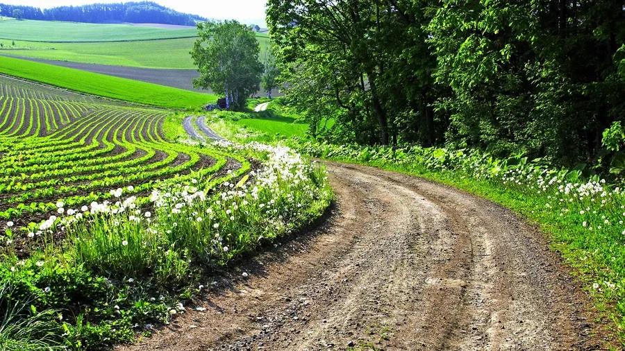 Farm Background