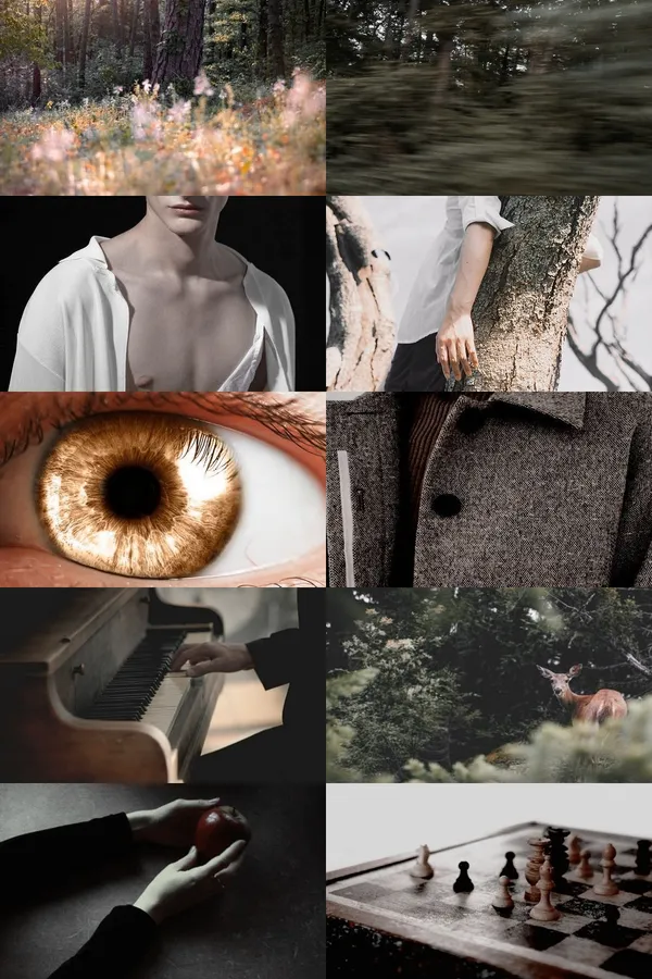 Twilight Aesthetic