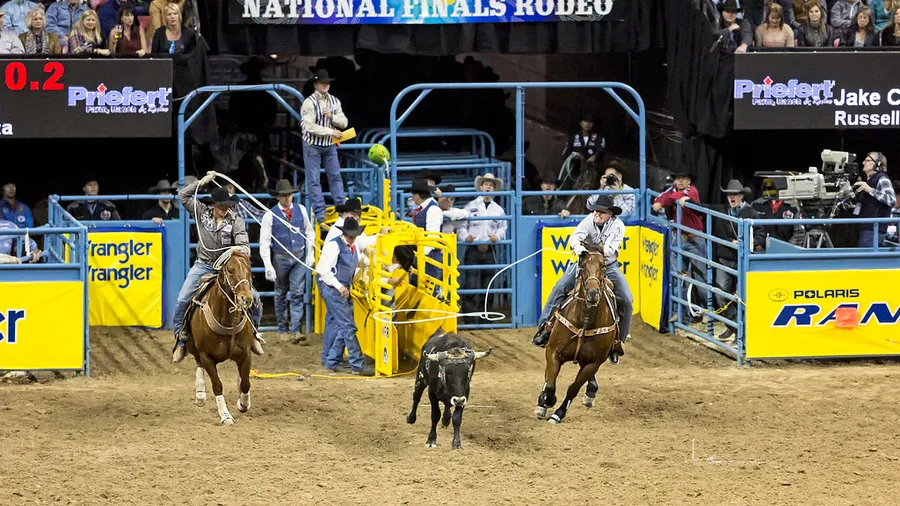 Team Roping