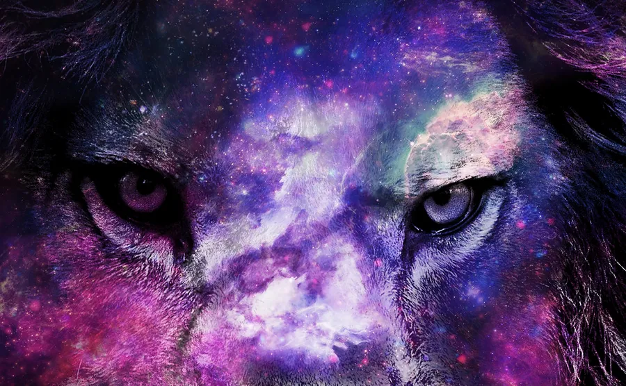 A captivating photograph captures the fierce gaze of a lion's eyes, overlaid with a purple galaxy filled with stars.