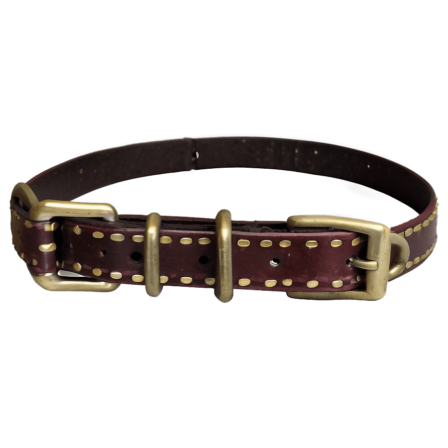 Vintage Dog Collar PNG rmd91