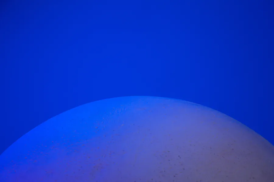 Blue Background