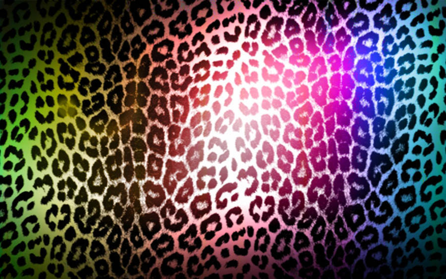 Cheetatryck Regnbåge. Bakgrundsbilder