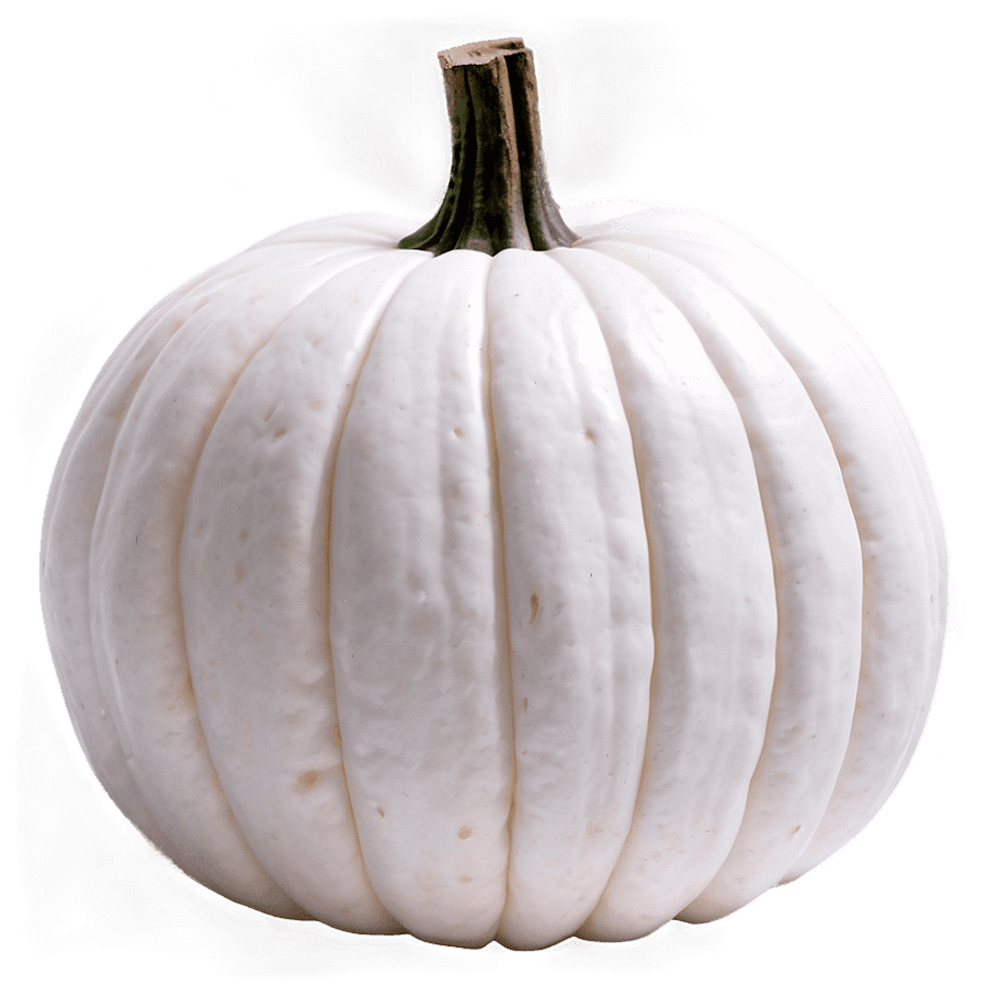 White Pumpkin for Fall PNG ilw5