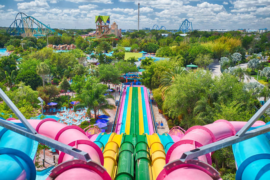 Aproveiteum dia divertido no Seaworld!