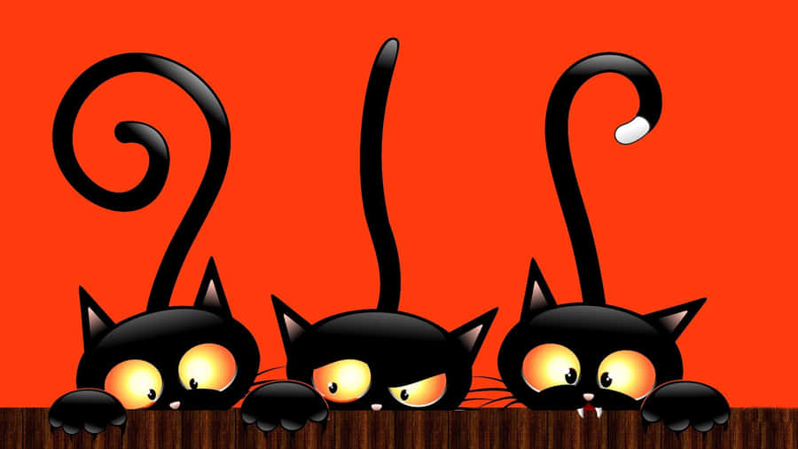 Halloween Sød skræmmende sorte katte giver et slag til et rødt billede.