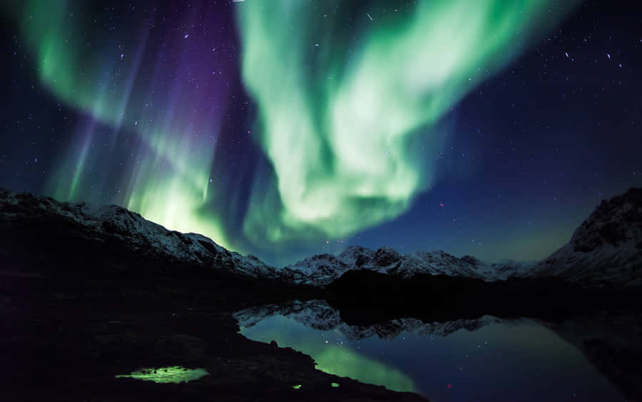 UnMaestoso Spettacolo dell'Aurora Boreale