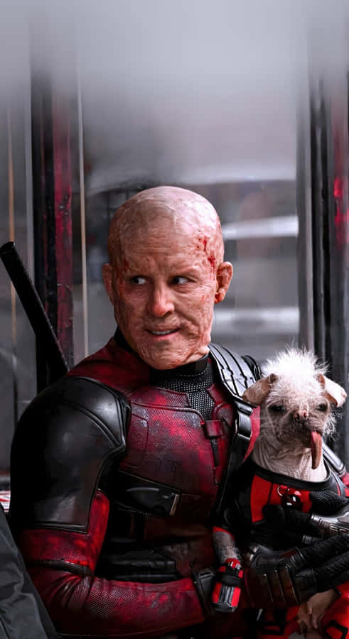 Deadpool Hält Hundpool