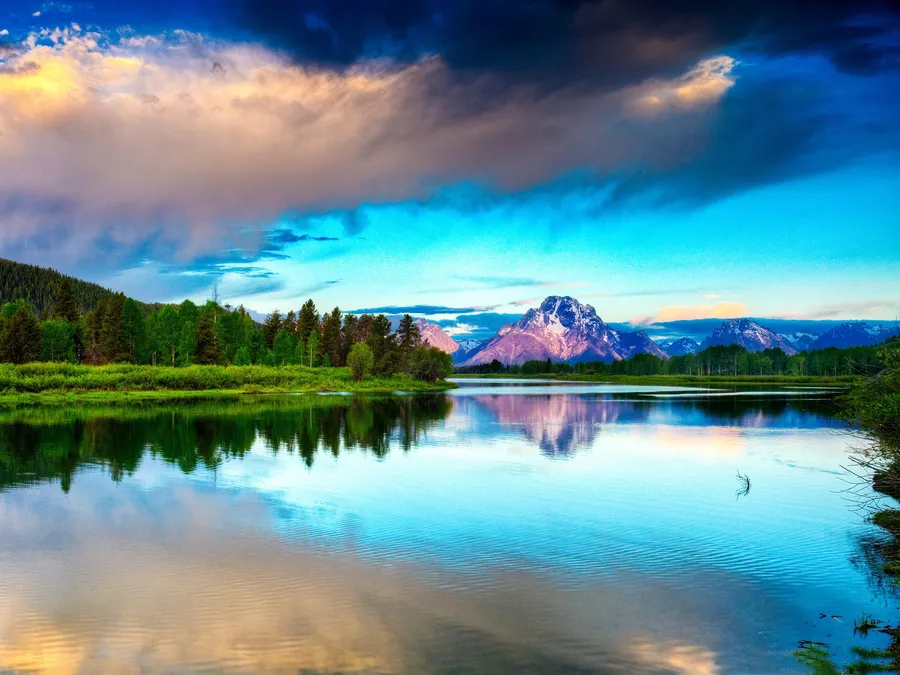 Beautiful Spring