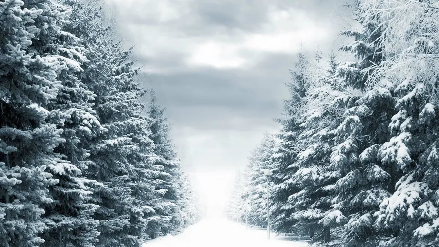 Snowing Background