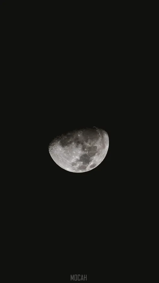 Cute Moon