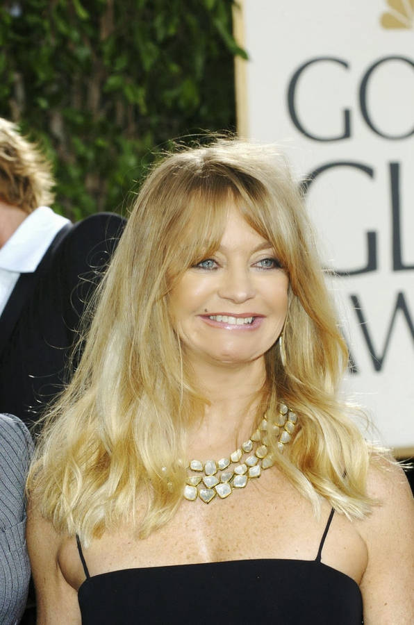 Download Goldie Hawn Celebrity Actress Golden Globes Wallpaper