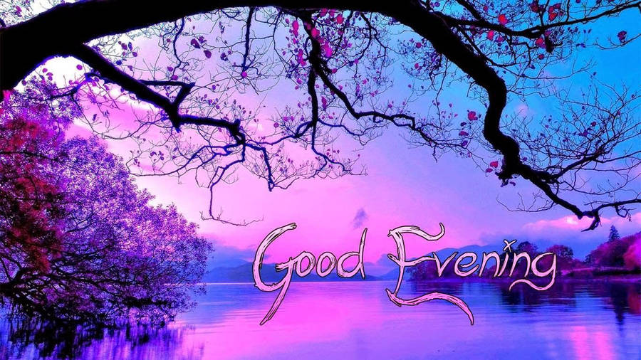 Download Good Evening Purple Wallpaper | Wallpapers.com