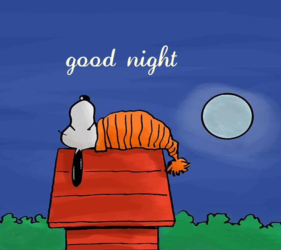 Download Good Night Sleeping Snoopy Wallpaper | Wallpapers.com