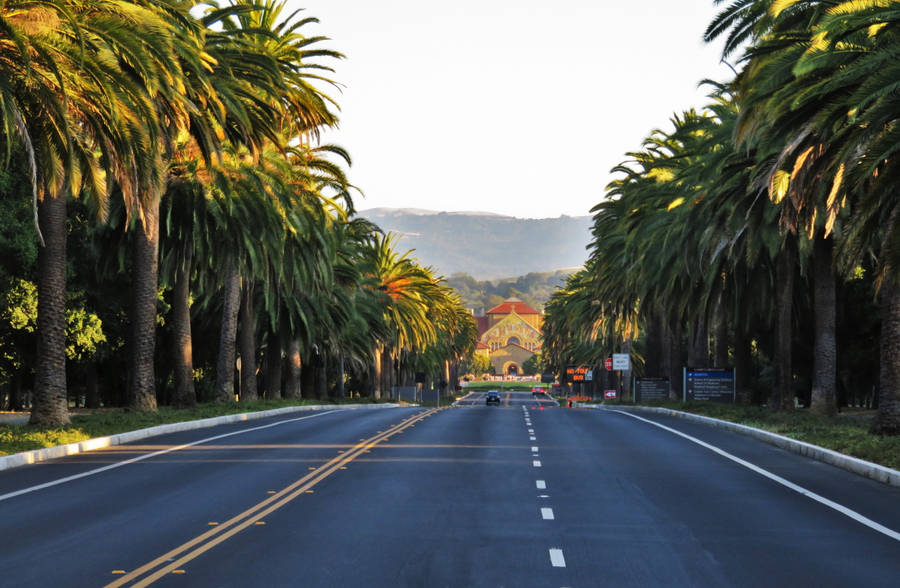 "StanfordUniversity Road" would translate to "Stanford Universitetsväg" in Swedish. However, if we are talking about a computer or mobile wallpaper, it may be more appropriate to translate it as "Stanford Universitetsväg-tema" (Stanford University Road theme) or simply "Stanford-tema" (Stanford theme).