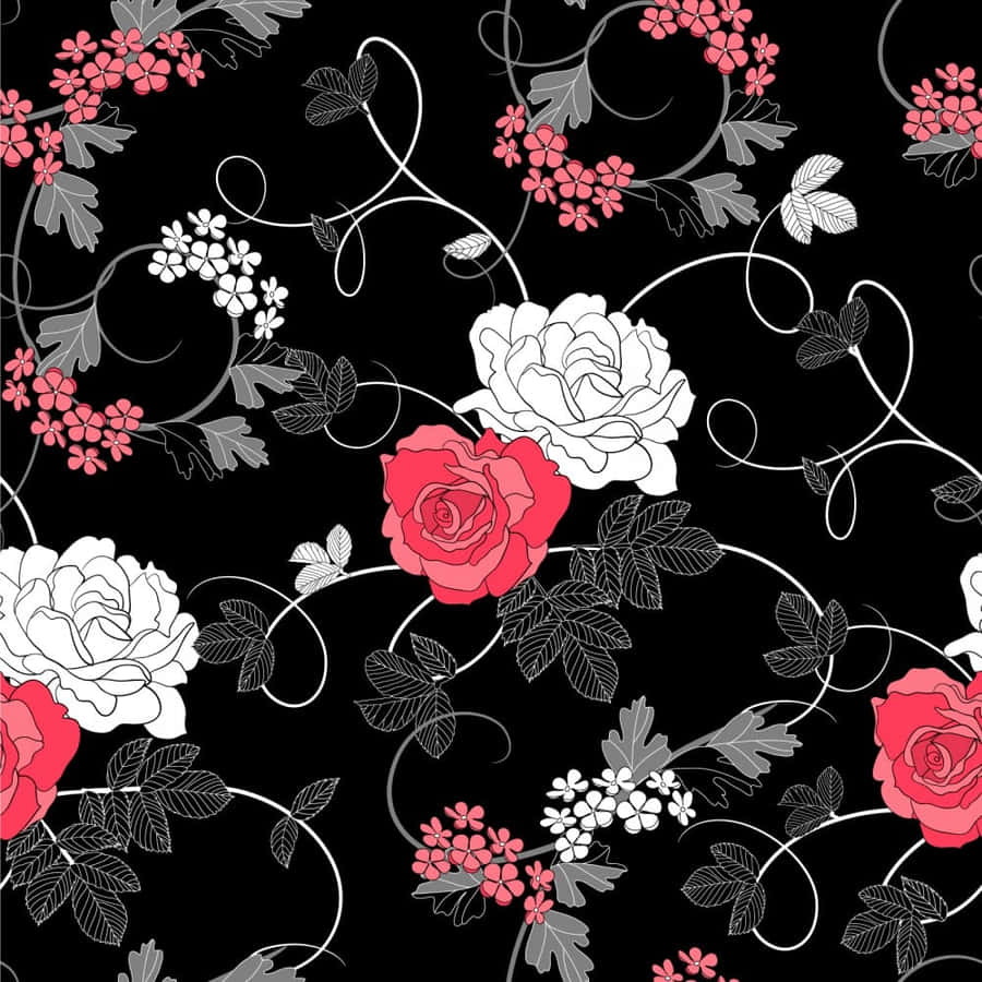 Rote und Weiße Rosen auf Schwarz