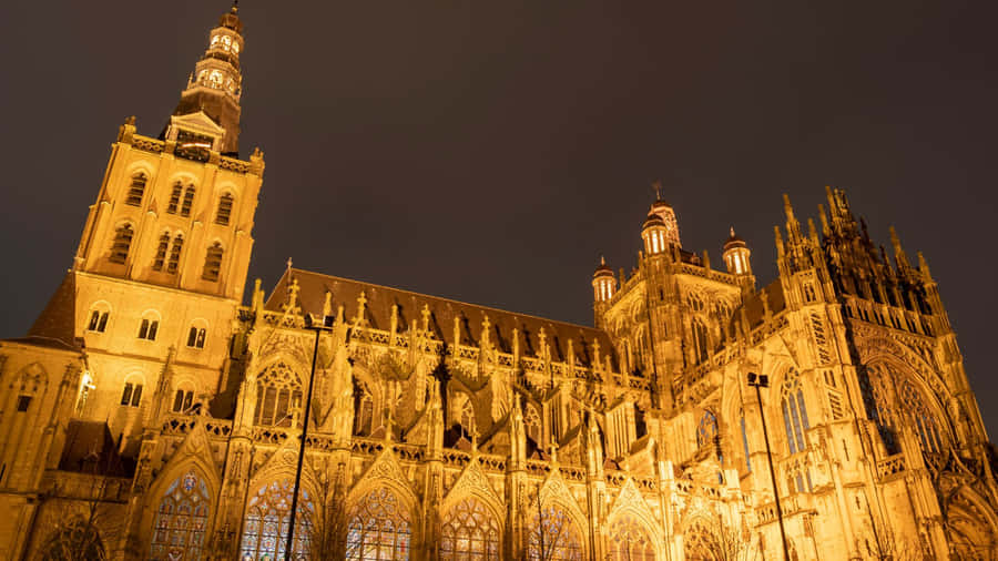 Illuminazione Notturna della Sint Janskathedraal