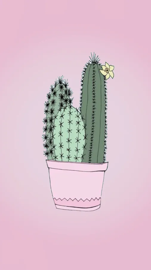 Cute Cactus
