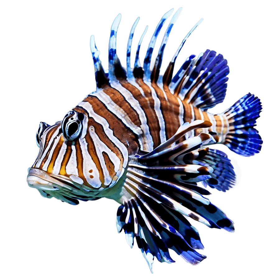 Lionfish Habitat PNG cxu