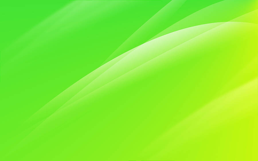 Download Green Wallpaper