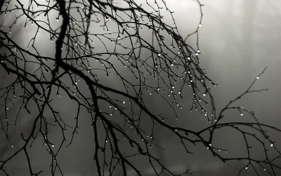 Grey Desktop