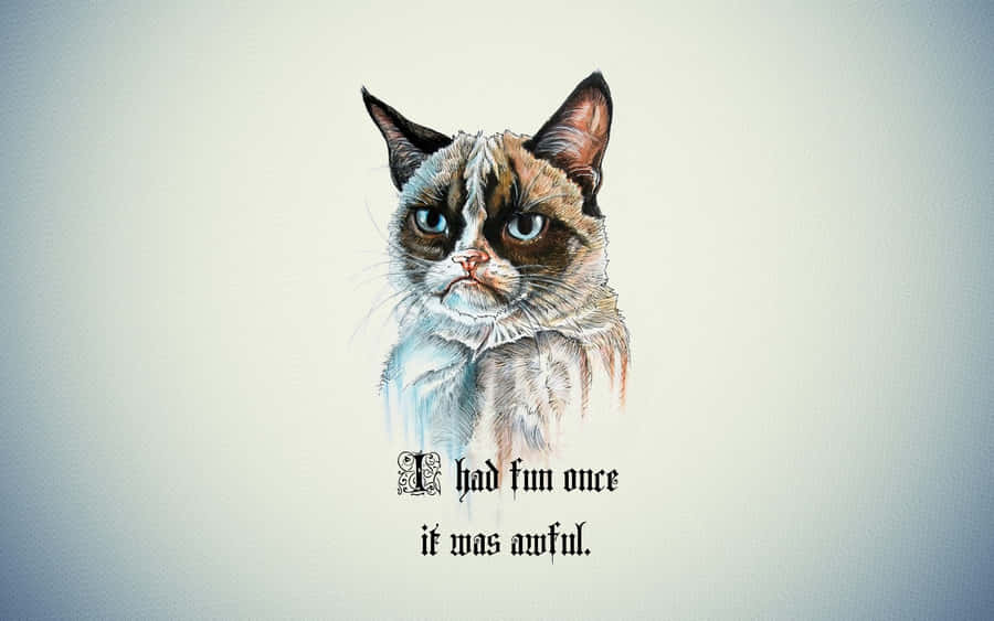 Grumpy Cat