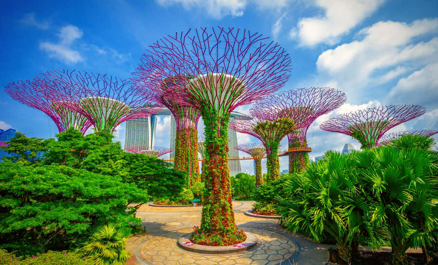 Giardini della Baia Supertree Grove Singapore