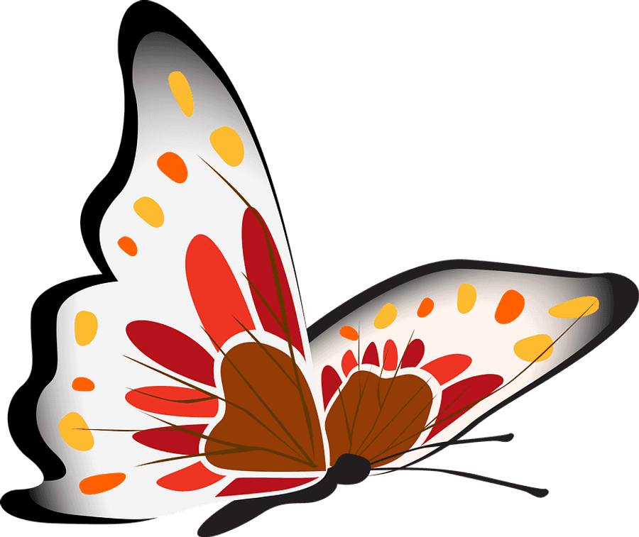 Colorful Butterfly Illustration