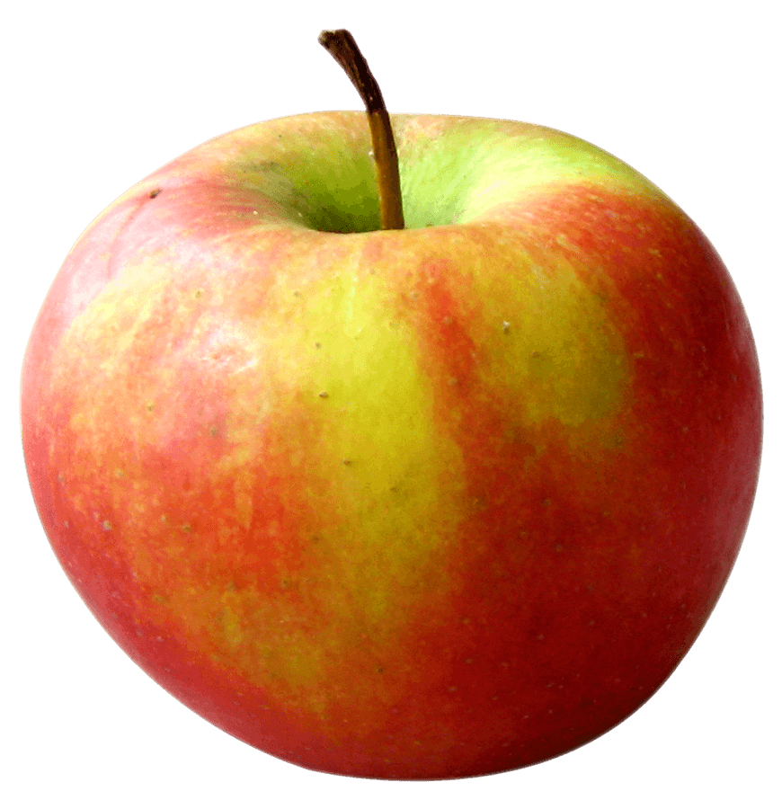 Ripe Red Apple Isolated