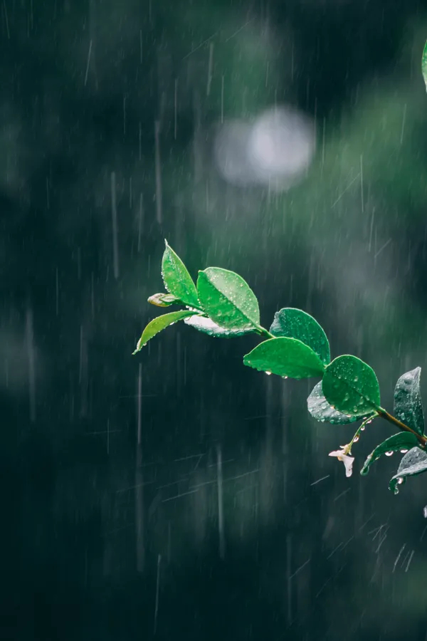 Rain background