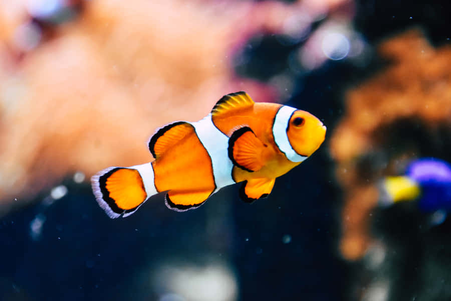 Dettagliovibrante delle scaglie del pesce