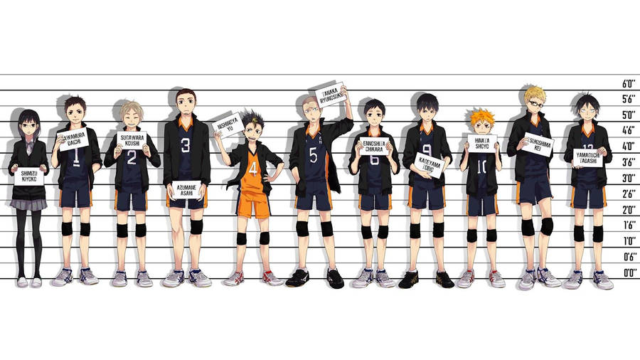 Download Haikyuu Wallpaper