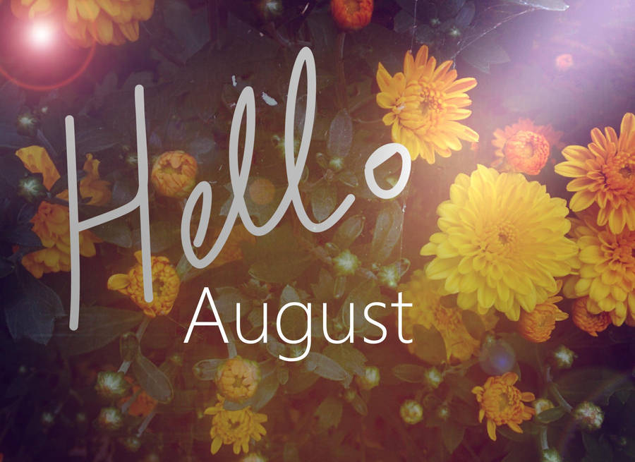 Download Hello August Flowers Wallpaper