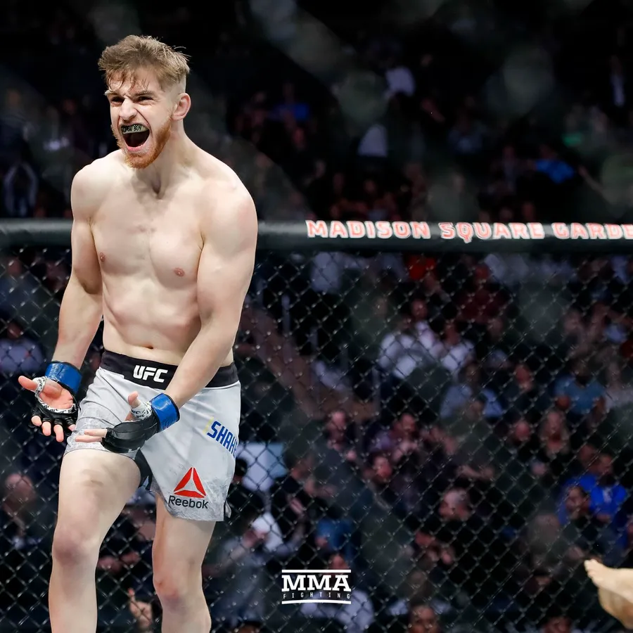 Ufc background