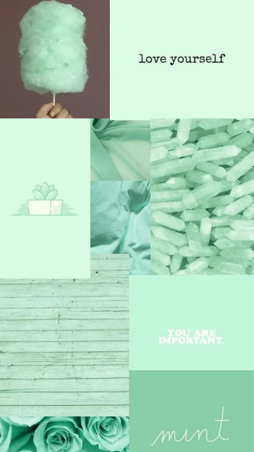 Mint Green Background