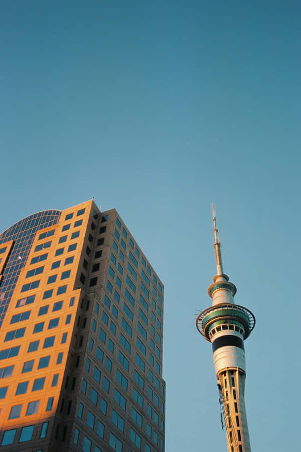 Sky Tower Auckland gegen blauen Himmel