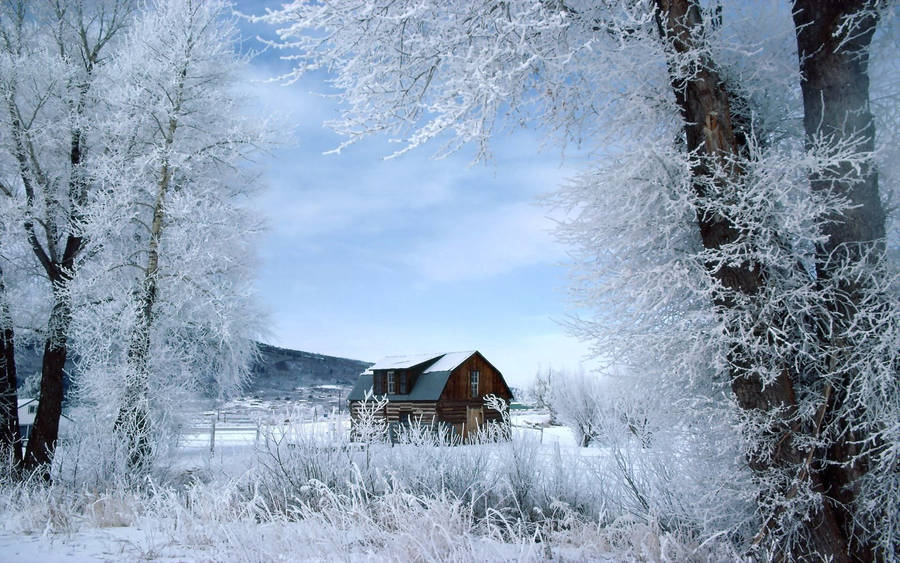 Hoarfrost framing on wooden house distant view wallpaper.