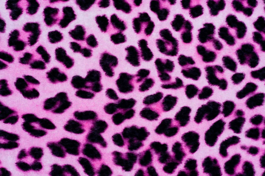 Download Hot Pink Cheetah Print Wallpaper | Wallpapers.com