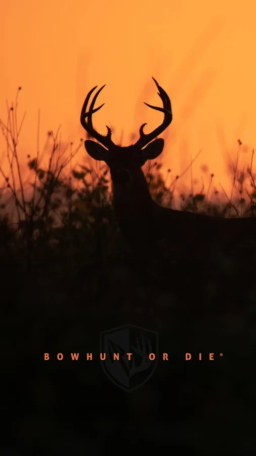 Deer Iphone