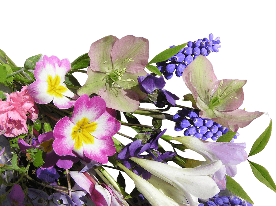 Colorful Spring Flowers Arrangement