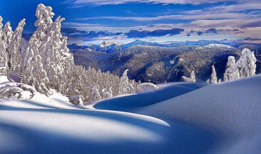 SchönerWinterhintergrund