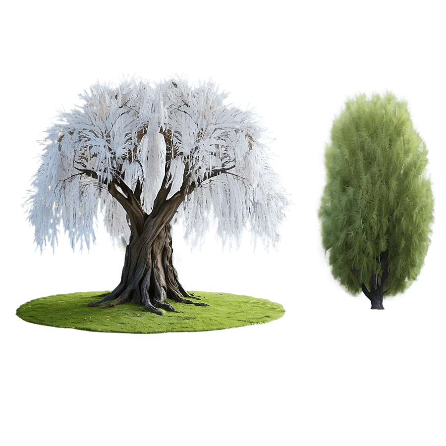 Majestic Willow Tree Landscape PNG 05262024