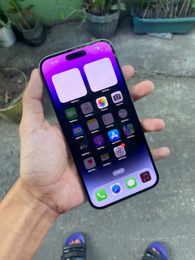 iPhone 14 Pro Max Viola in Mano