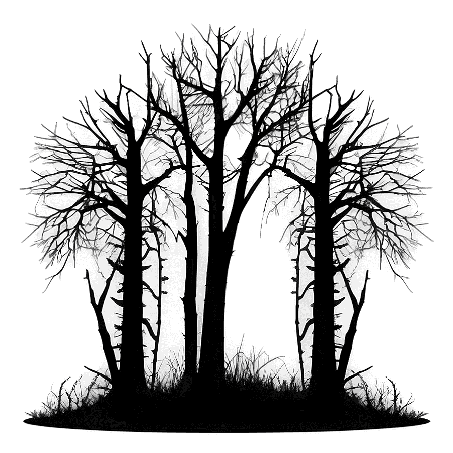 Eerie Dark Forest PNG 61