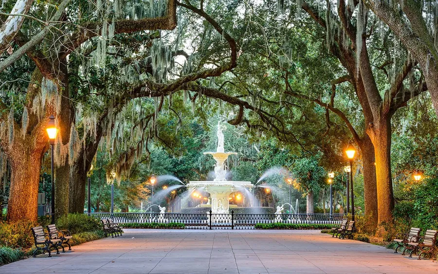 Savannah Background