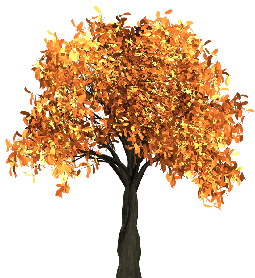 Golden Autumn Tree