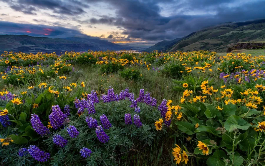 Landscape pictures