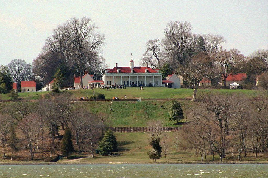 "MountVernon Empty Trees" would be translated to "Mount Vernon Tomma Träd" in Swedish. When it comes to computer or mobile wallpaper, this could refer to a picture of the Mount Vernon landscape with trees that have lost their leaves during autumn or winter, providing a unique and minimalist aesthetic to the screen.