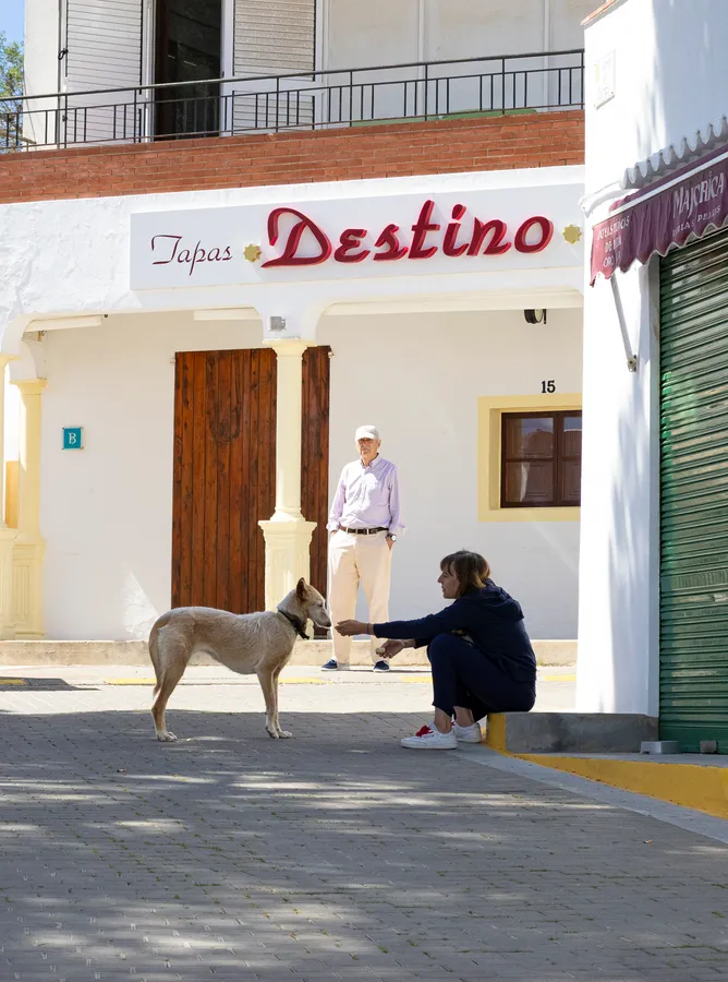 spain, dog,Village