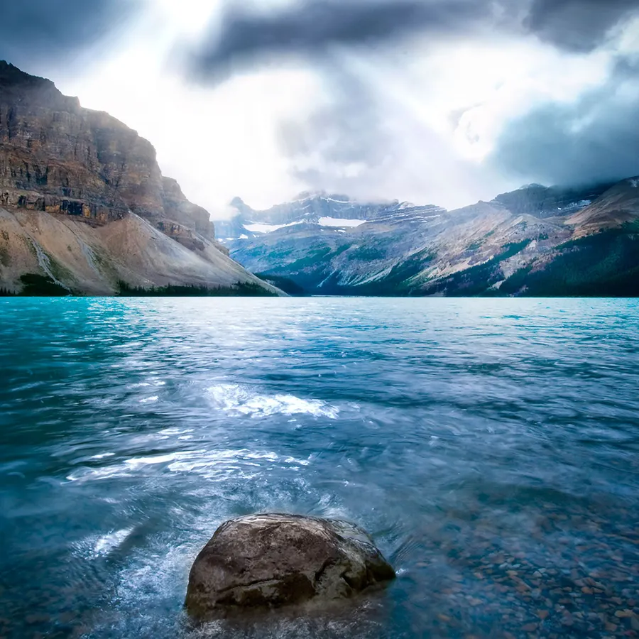 Nature Ipad